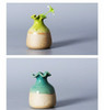 Ceramic Flower Jar | FKCF01