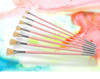 Hog Bristle Fan Brushes | Sizes 0-12 | H2006C