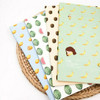 (DSC) Fruits Story Notebooks | JTN22