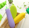 Fruits & Veggies Pencil Case | H2028