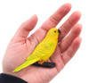 Fridge Magnet | Yellow Parakeet | FM029