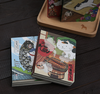 A Day in a Cat's Life | 4 Styles | H20201438-41