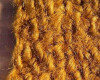 Buckthorn Natural Dye | Powder | Sold By 100g | NDBE030P | Bulk Prc Avlb