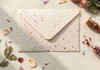 Pressed Flower Paper Envelope 16 X 11cm | H2604070