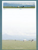 Sketch/Note Pad | Green Pasture Grazing | H2551