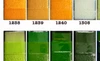 Thompson Enamel Colour Sample Reference Chart by Mengnan Qu | Fold-Out Printed Edition | Free Shipping