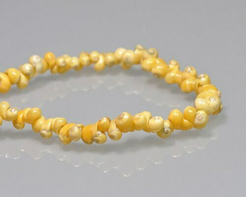 Snail Shell Yellow Beads 4-5mm | Sold by 16" Strand| BS0110 Snail Shell Yellow Beads 4-5mm | Sold by 16" Strand| BS0110
