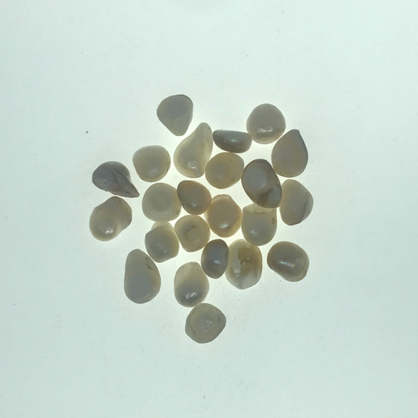 Un-Drilled Baroque Freshwater Pearls | 20g | Dia. 10mm-15mm | UDP03