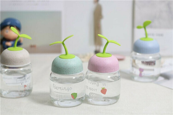 New Sapling Glass Bottles | 250ml | H1913C
