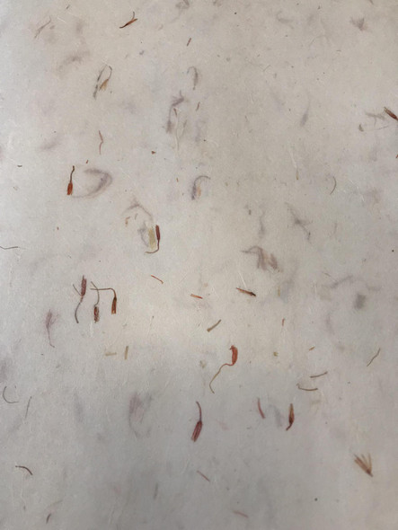 Mulberry Paper Type C Mulberry Paper Type C