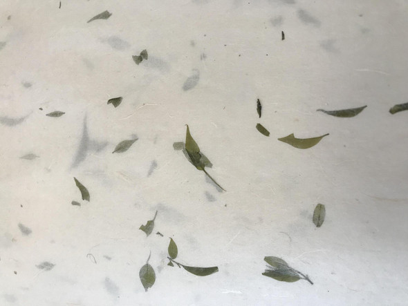 Mulberry Paper Type D Mulberry Paper Type D