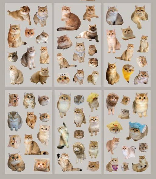 Transparent Cat Stickers | Garfield | 50830