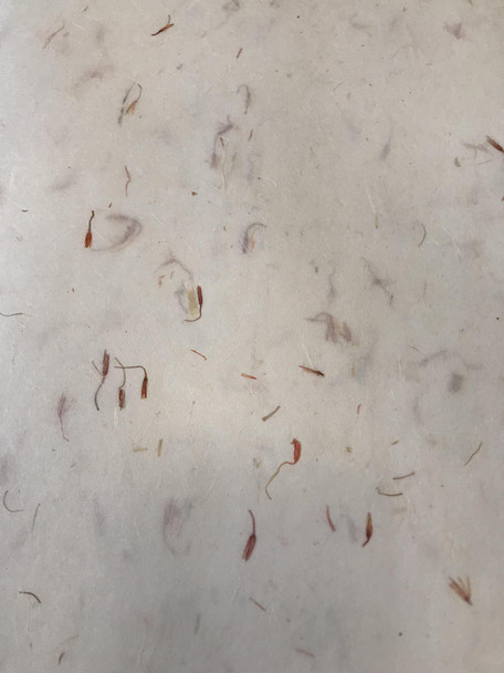 Mulberry Paper Type C