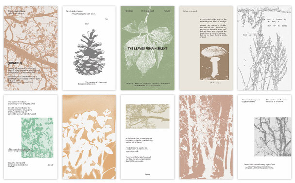 Vellum Patterned Note Paper Set | Mountain Still | 6942138215403