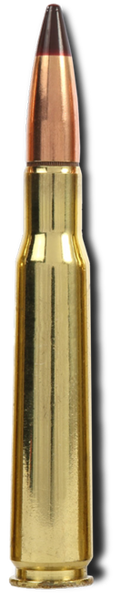 Federal  M17 618.5gr FMJ .50BMG Red Tip Tracer - 10rds