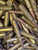 Military Surplus 7.92x57mm Mauser - Brass Cased INCENDIARY Ammunition - 25rds