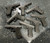 USED Police Trade In Glock 17 9mm Semi Auto Pistol