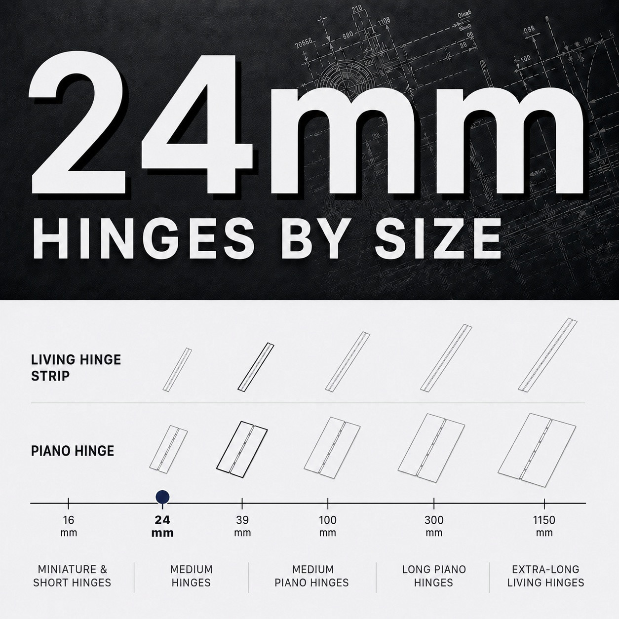 24mm