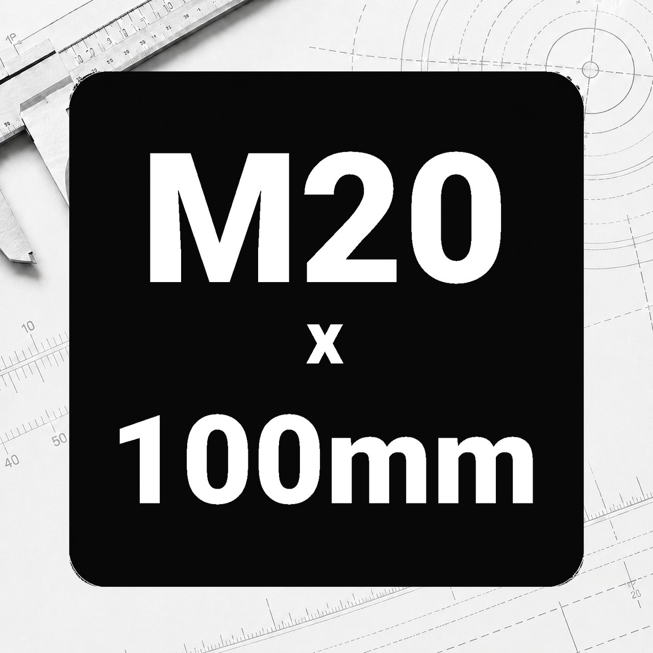 M20 x 100mm