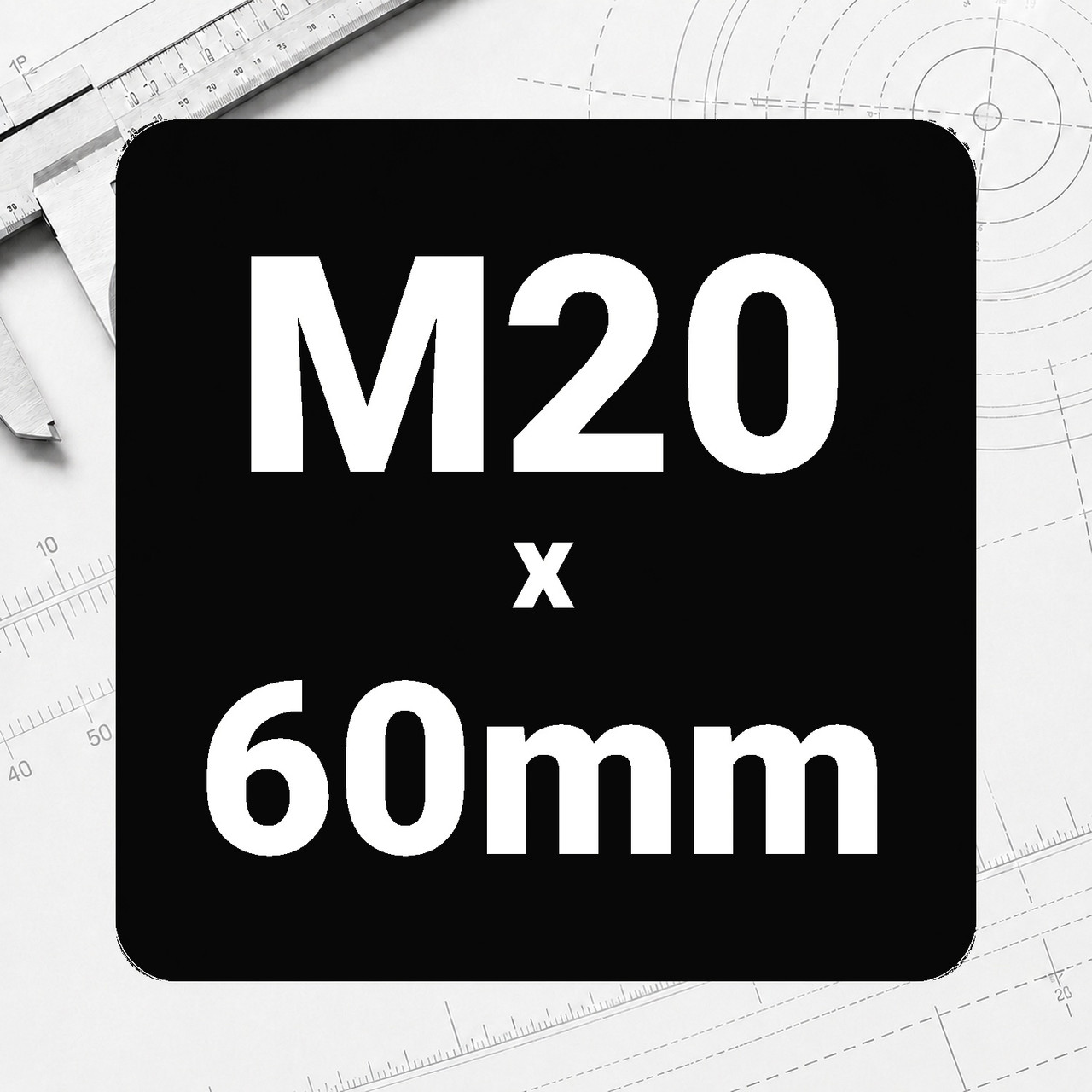 M20 x 60mm