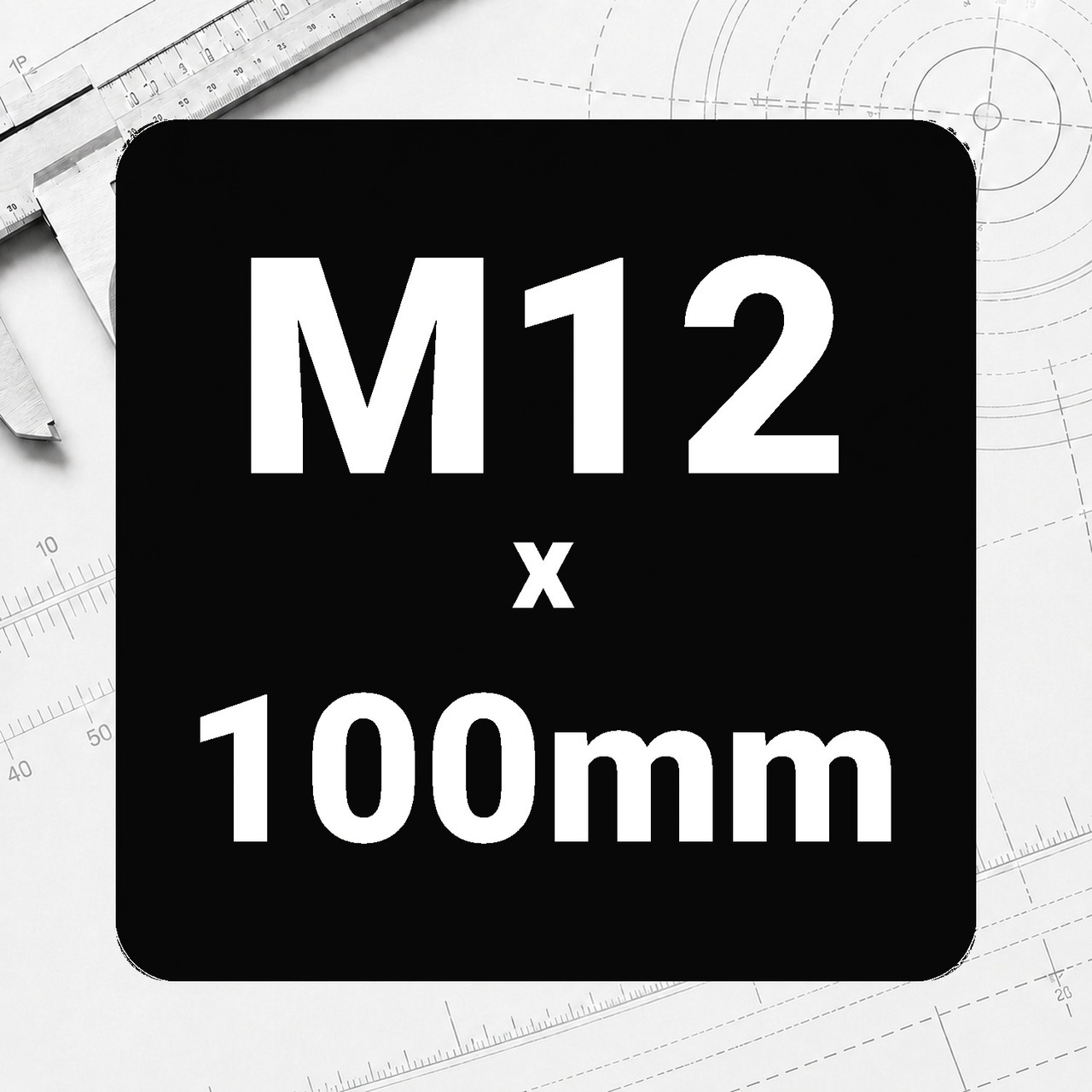 M12 x 100mm