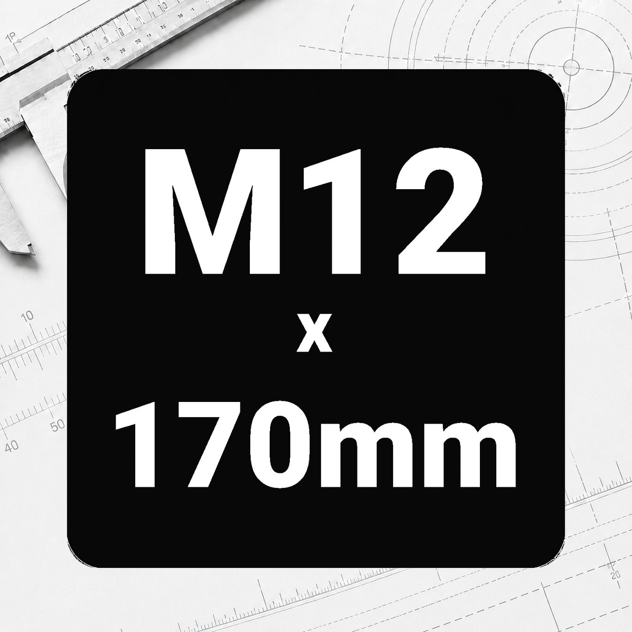 M12 x 170mm