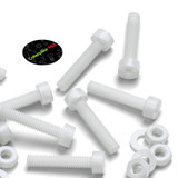 10x viti TCEI in PVDF naturale M3 x 20 mm, dadi & rondelle
