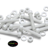 10x viti TCEI in PVDF naturale M6 x 40 mm, dadi & rondelle