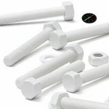10x White PP Hex Head Plastic Screws & Bolts M10 x 70 mm, Nuts & Washers