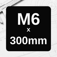 M6 x 300mm