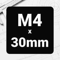 M4 x 30mm