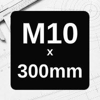 M10 x 300mm