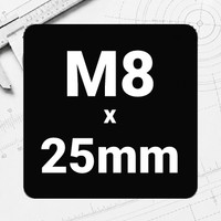 M8 x 25mm