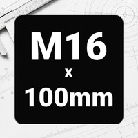 M16 x 100mm