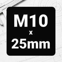 M10 x 25mm