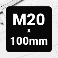 M20 x 100mm
