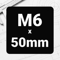 M6 x 50mm
