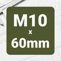 M10 x 60mm
