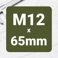 M12 x 65mm