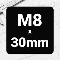 M8 x 30mm