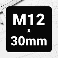 M12 x 30mm