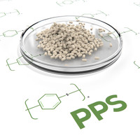 PPS / Polyphenylene Sulfide