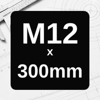 M12 x 300mm