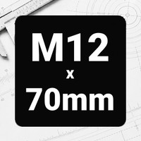 M12 x 70mm