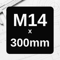 M14 x 300mm