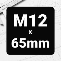 M12 x 65mm