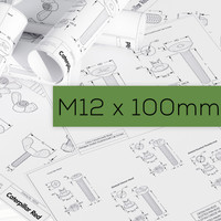 M12 x 100mm