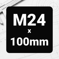 M24 x 100mm