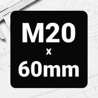 M20 x 60mm