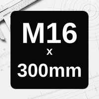 M16 x 300mm